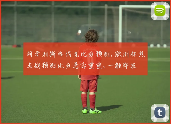 匈牙利斯洛伐克比分预测,欧洲杯焦点战预测比分悬念重重,一触即发