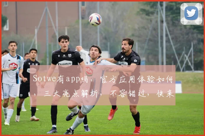 Sotwe有app吗，官方应用体验如何，三大亮点解析，不容错过，快来下载体验