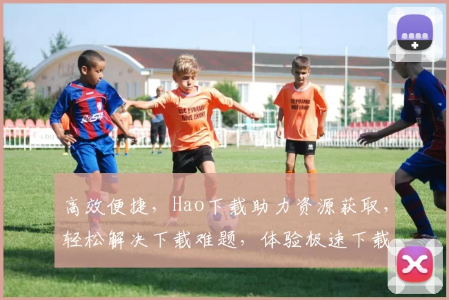 高效便捷，Hao下载助力资源获取，轻松解决下载难题，体验极速下载之旅，三步搞定