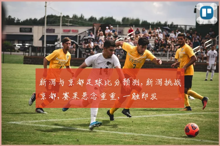 新泻与京都足球比分预测,新泻挑战京都,赛果悬念重重,一触即发